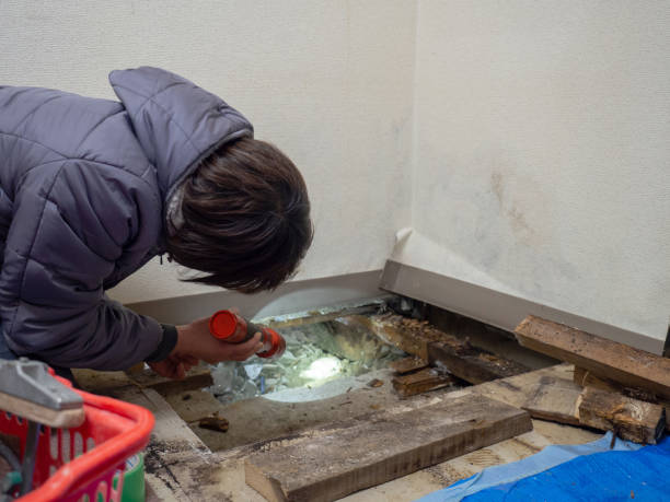 Best Post-Remediation Verification Testing  in Ravenna, MI