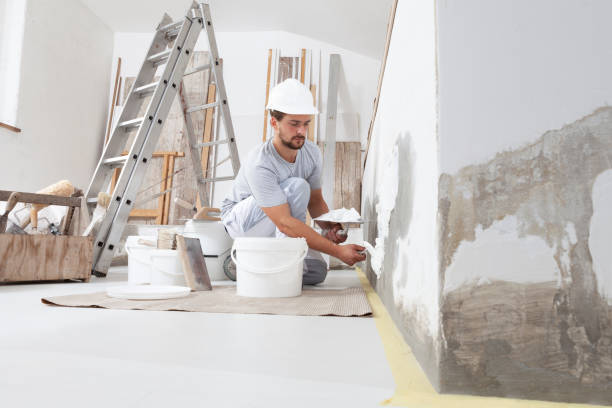 Best Emergency Mold Remediation  in Ravenna, MI